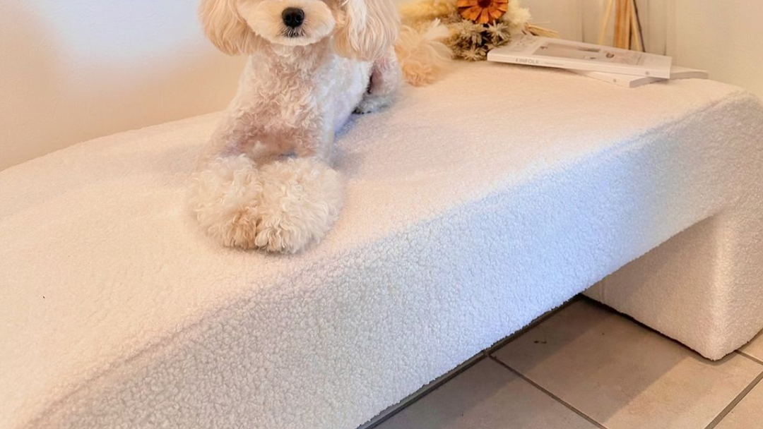 INDOORPLUS|お客様投稿(【スツール】ラムフリース ふわふわ リラックス)