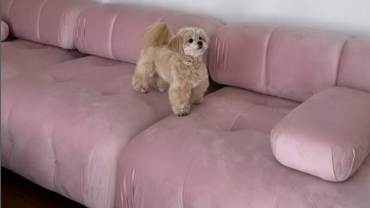 INDOORPLUS|お客様投稿(【ソファ】クリーム色おしゃれ 選べる3素材)