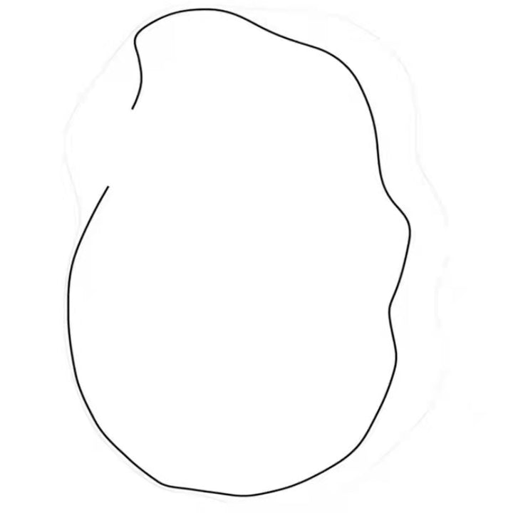 【カーペット・ラグ】不規則  オーバル型 雲型 選べる3種