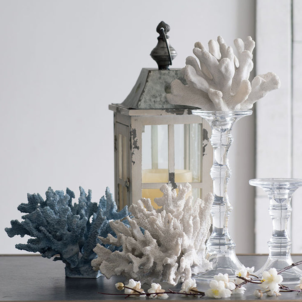 【オブジェ・置物】サンゴ 鍵掛け ファッション