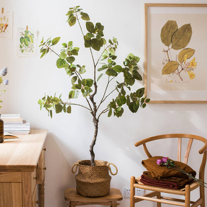 【造花】秋 大サイズ バウヒニア 盆栽