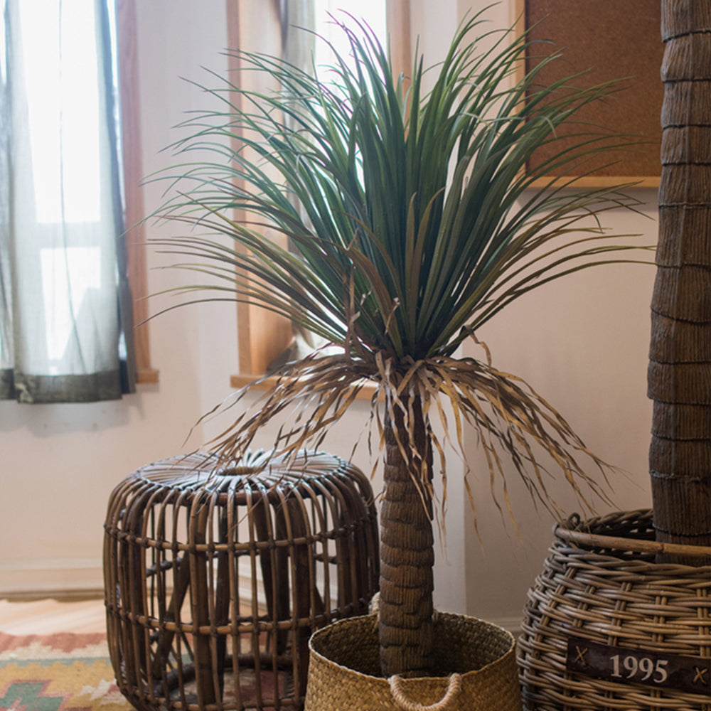 【造花】モロッコ 竜舌蘭 緑 盆栽 植物 熱帯植物