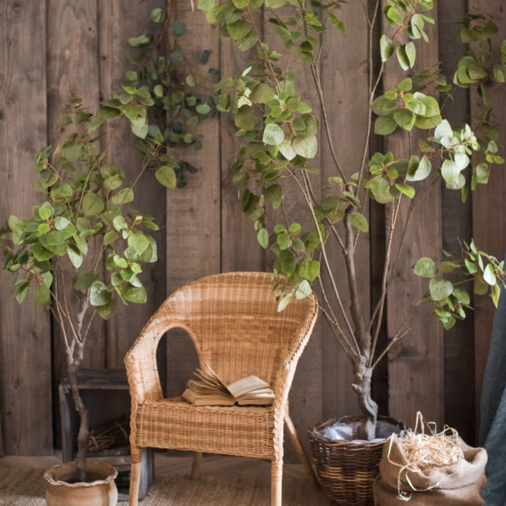 【造花】秋 大サイズ バウヒニア 盆栽