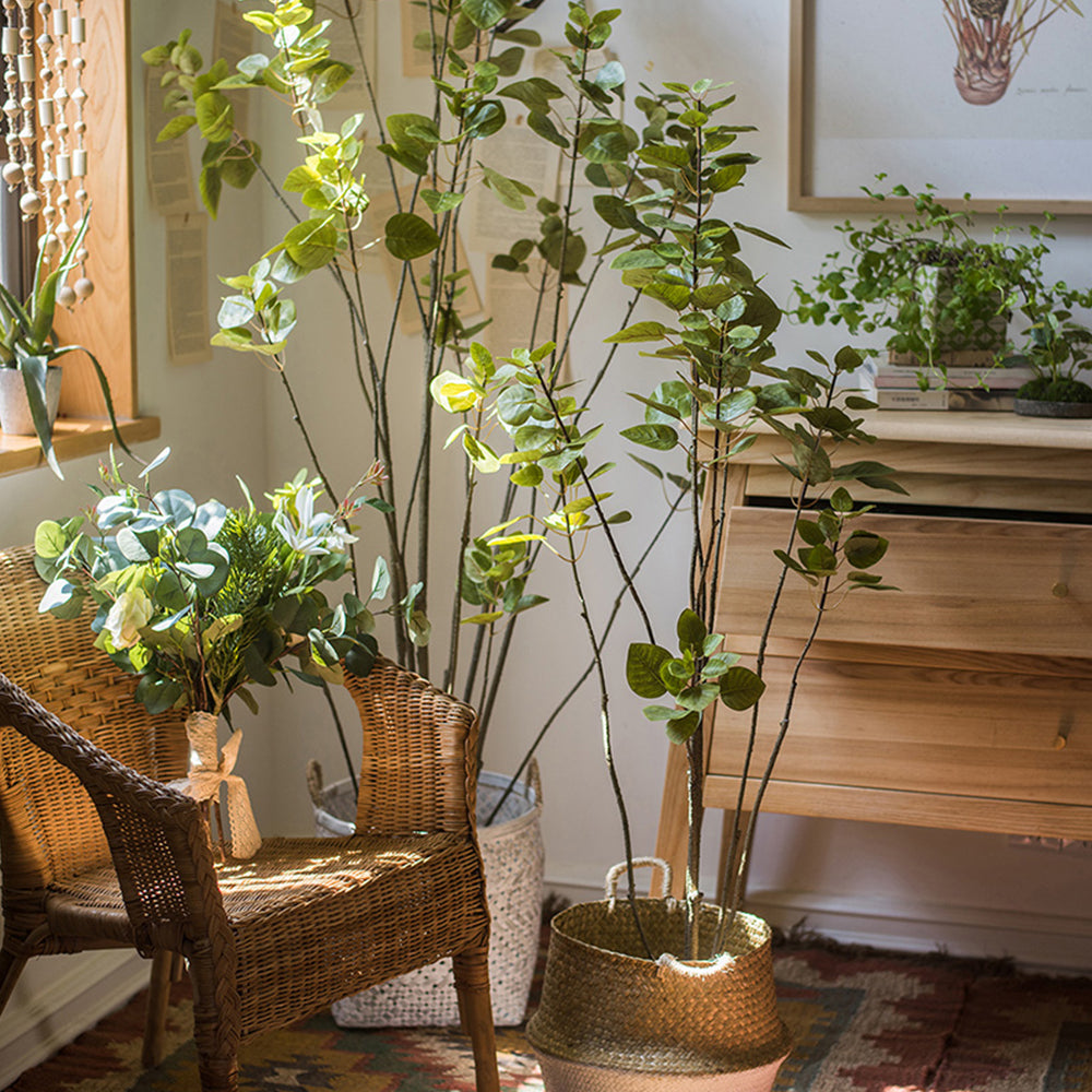 【造花】秋 大サイズ バウヒニア 盆栽