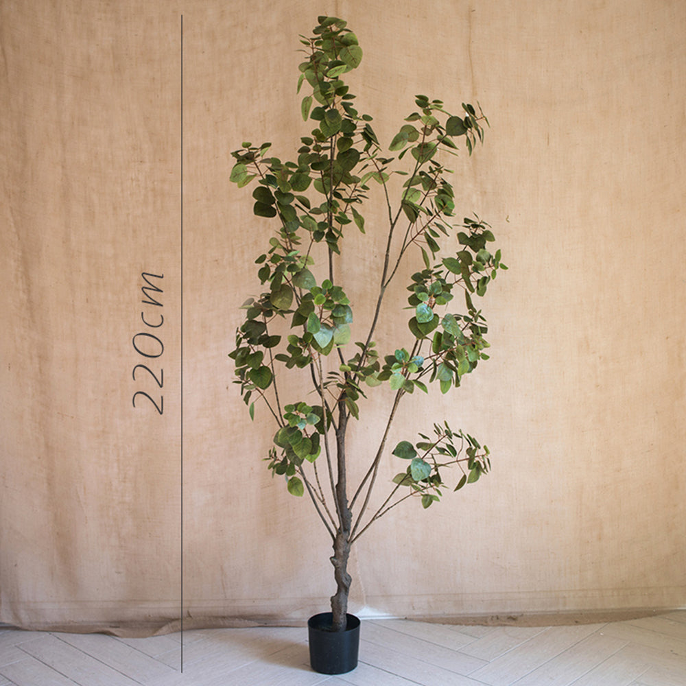 【造花】秋 大サイズ バウヒニア 盆栽