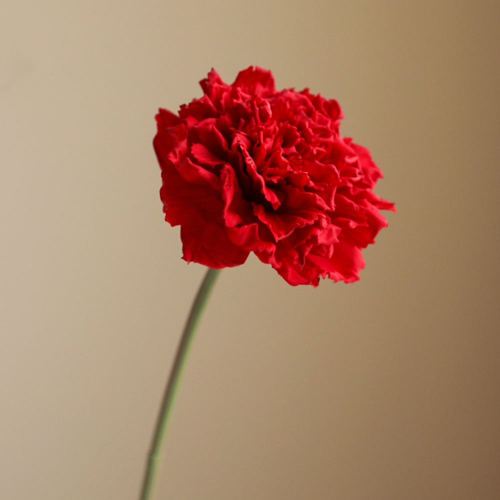 【造花】カーネーション 潤い 北欧風 高級感