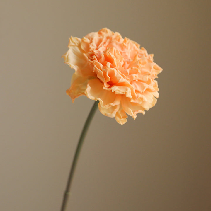 【造花】カーネーション 潤い 北欧風 高級感