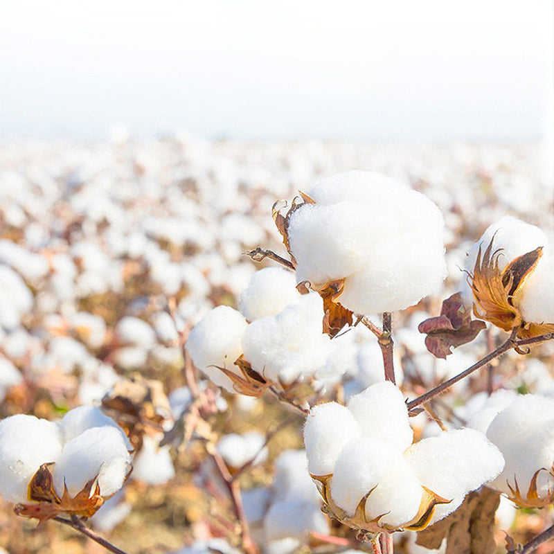 【寝具セット】刺繍 おしゃれ 4点セット