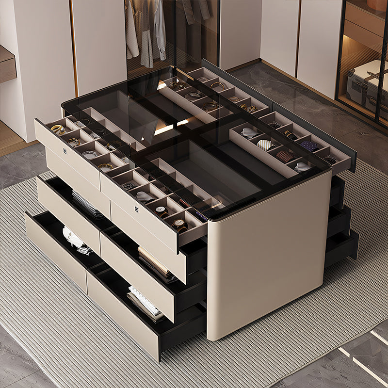 【ジュエリーキャビネット】レザー ガラス ハイエンド 指紋認証