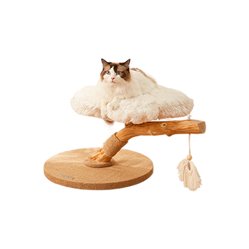 ペットとの暮らし