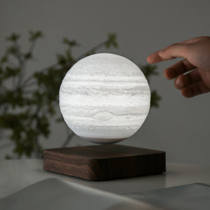 カラー: 木星15CM