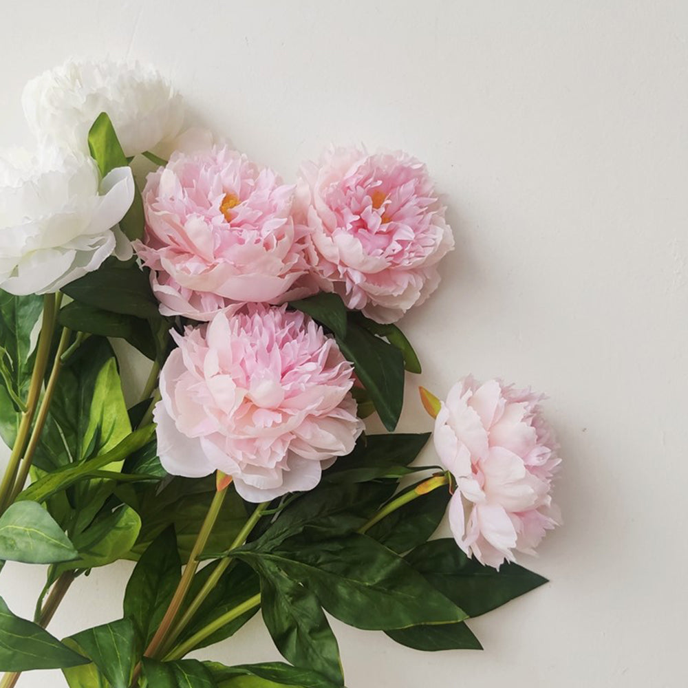 陶板　芍薬の花 陶板 芍薬の花 ◇粘土のお花◇ 芍薬（シャクヤク） ピンク