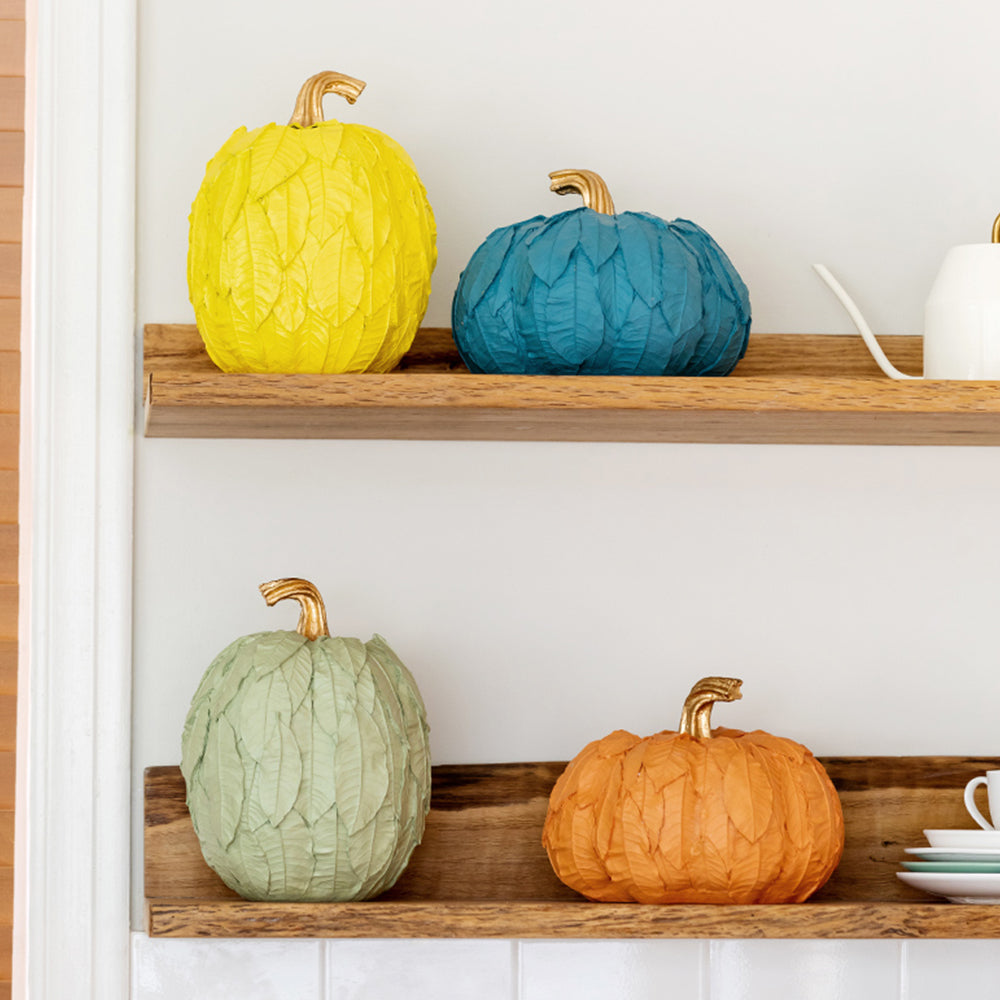 INDOORPLUS公式｜花瓶 カボチャ 花瓶 モダン – Indoorplus